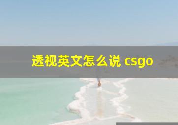 透视英文怎么说 csgo